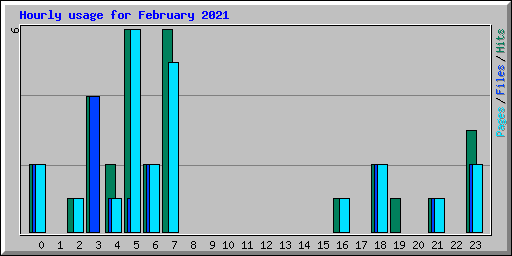 Hourly usage for February 2021