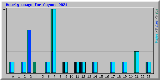 Hourly usage for August 2021