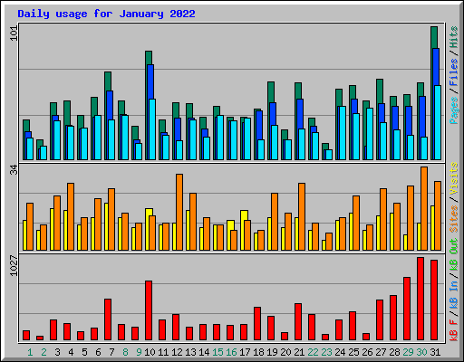 Daily usage for January 2022