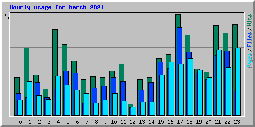 Hourly usage for March 2021
