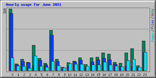 Hourly usage for June 2021